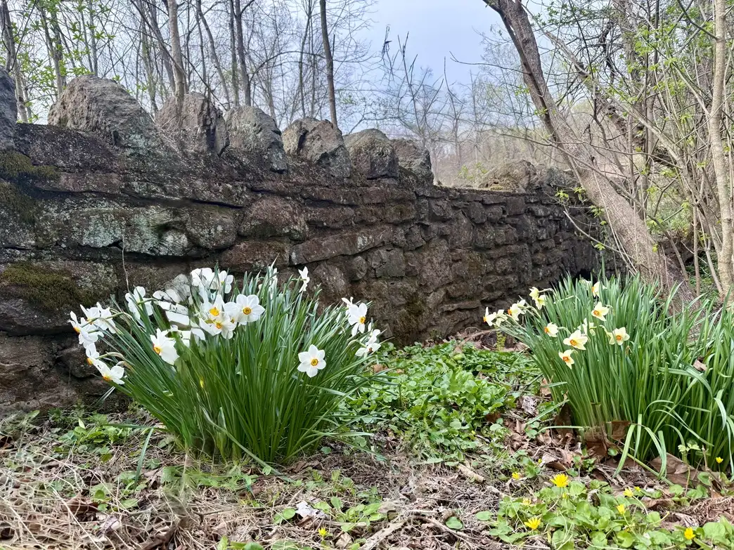 bridge with flowers